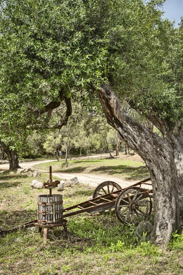 Uddastri Retreat Арцахена Екстериор снимка